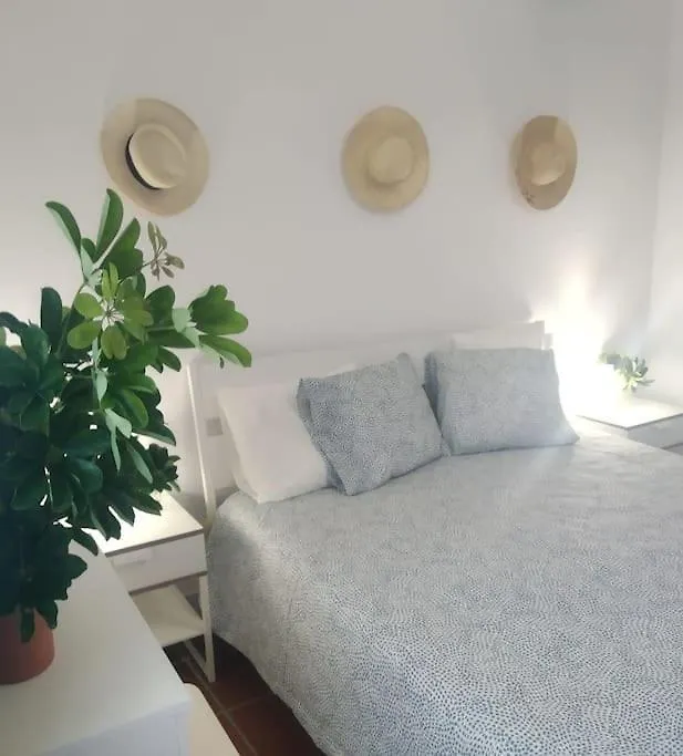Simpatico Alojamiento Con Piscina Privada Y Vistas Sauzal